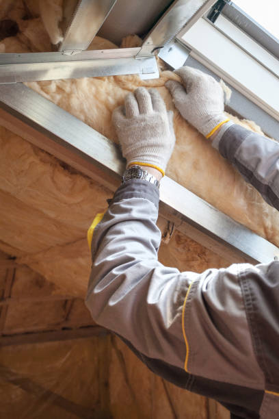 Best Blown-in Insulation in Union City, CA